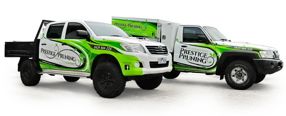 Vehicle Signage